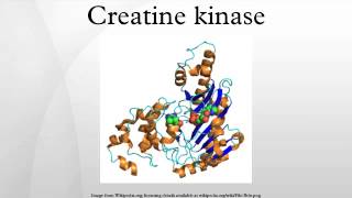 Creatine kinase [upl. by Nilrev]