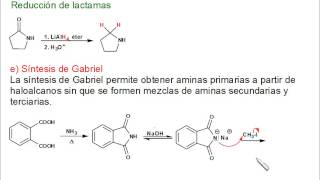 Síntesis de aminas [upl. by Rosalee]