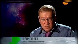 Гаряев Пётр Петрович  Кто мы из передачи Живая тема №32 «Творцы человечества» [upl. by Roselane]