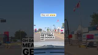 Hey siri goodvibesonly saskatchewan canada Send comedy heysiri siri comedyvideos souperkire [upl. by Melly541]