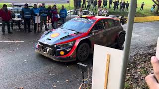 WRC Central European Rally 2023  start SS7  Thierry Neuville [upl. by Carmelina]