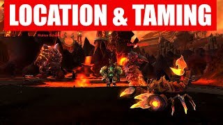 🔝 725 New Pet  Lost Emberspit Scorpion  Location amp Taming [upl. by Nnaeed632]