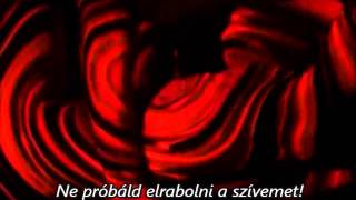 Enrique Iglesias ft Nicole Scherzinger  Heartbeat Hungarian lyrics [upl. by Homans]