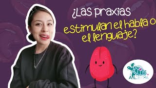 ¿Sirven las praxias para estimular el habla o lenguaje  Ineficacia de las praxias orofaciales [upl. by Natsyrt]