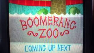 Up Next The Boomerang Zoo [upl. by Rosenzweig]