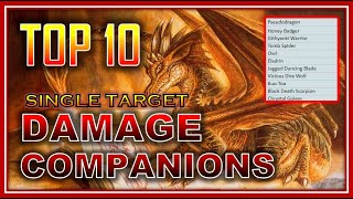 NEW Top 10 ST Damage Companions RIP Xuna CIW amp BIP  Neverwinter Preview [upl. by Fontes]