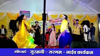 बलमा मोर परदेशिया कब आबे l Sandeep Lahre l मीरा गिलहरे Stage Video CG SONG [upl. by Cr]