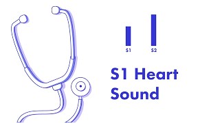 S1 Heart Sound  Learn How to Auscultate Part 8 [upl. by Pierce710]