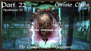 Enderal Forgotten Stories  22 Apotheosis Pt 2  No Commentary [upl. by Nwahsear]