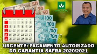 ⚠️🔴Notícia Urgente Pagamento do garantia safra 20202021 liberado [upl. by Doretta]