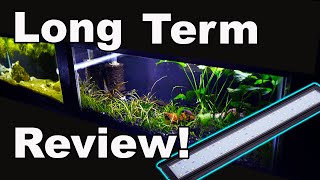 Hygger Aquarium Light Long Term Review The Good AND The Bad [upl. by Rozella]