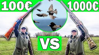 Fusil à 100€ VS 1000€  Régulation dÉtourneaux à la Ferme [upl. by Yllod391]