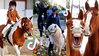 The Cutest HORSES  Equestrian TikTok Compilation 51 [upl. by Nylesaj]