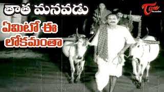 Tata Manavadu Songs  Emito Eelokamantha  SV Ranga Rao  Old Songs  Old Telugu Songs [upl. by Otto972]