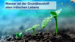 5 Gründe für Kangen Wasser  Grundbaustoff für Dein Leben [upl. by Ahcsim]