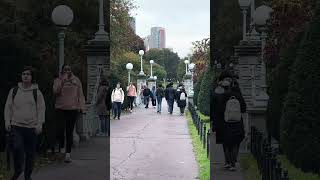 Boston common boston fall [upl. by Deloria]