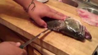 How to fillet a Largemouth Bass [upl. by Culosio]