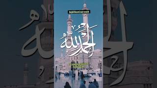 Main Banda E Aasi Hoon trending viralshorts status islamic video [upl. by Ydolem673]