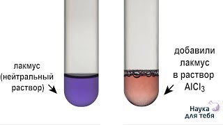 Окраска индикаторов лакмус метилоранж фенолфталеин в водном растворе хлорида алюминия AlCl3 [upl. by Aihseuqal]