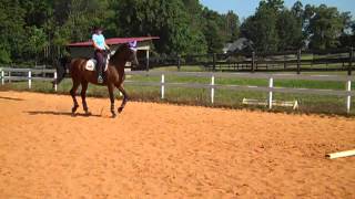 Randi Thompson Trot Does your horse root at the reins or pull you out of the saddle [upl. by Vanhook]