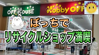 【ぼっちで堪能】リサイクルショップのオフハウス、ホビーオフにて店内探索してみたら楽しかった！ [upl. by Waechter]