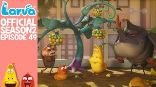 Official Strange berries  Larva Season 2 Episode 49 [upl. by Hatch477]