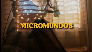 Micromundos  Poesía audiovisual [upl. by Rehpatsirhc137]