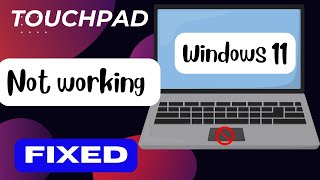 Turn Your Laptop Touchpad on Windows 11 A StepbyStep Guide [upl. by Nolak616]