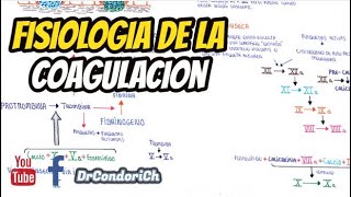 Hemostasia fisiologia de la coagulacion plaquetas [upl. by Celik]