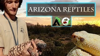 Reptiles of Arizona  Phoenix Herpetological Society [upl. by Terr]