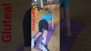 Gluteal Tendinopathy  Gluteal pain Glutes and Abductors workout [upl. by Marashio62]