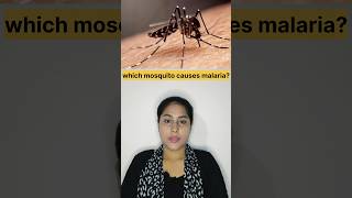 Malaria causes by which mosquito shorts malaria biology disease [upl. by Fauver]