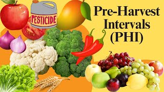 Pre Harvest Intervals PHI in Agriculture Importance and Guidelines safe pesticides use [upl. by Trinatte]