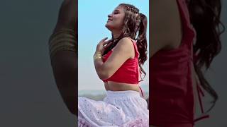 RAJA RANI  NEW SANTALI SONG 2024  shorts santhalivideo [upl. by Gerladina709]