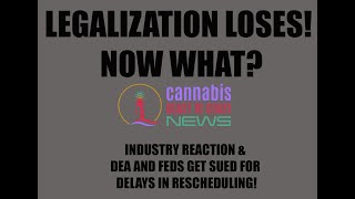 Legalization Takes a Hit at the Ballot BoxNO ON 3 in Florida Cannabis Coast to Coast Election News [upl. by Dielle]