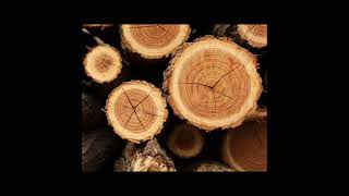 What is Dendrochronology Amazing fact68 [upl. by Meekah]