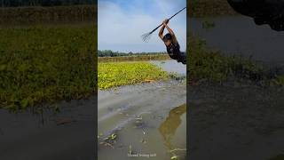 New Fishing Video 2024 😲 Best kotch Fishing videoPart03fish trending shortfeed shorts [upl. by Crosby]