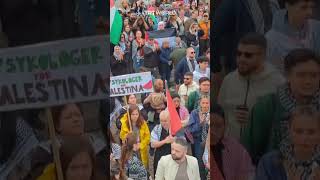 ProPalestine protests in Sweden against Israel’s Eurovision inclusion [upl. by Towbin219]