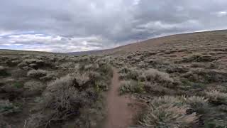 Signal Peak Trails  Mountain Biking in Gunnison Colorado [upl. by Mariya]