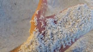 What is Perlite and How to use this Soil Amendment to Improve your Garden [upl. by Lewis907]