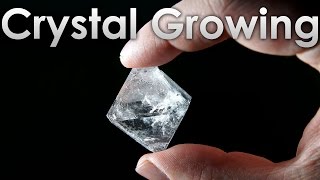 Grow Transparent Single Crystals of Alum salt at Home [upl. by Nosduh]