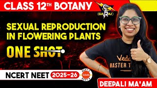 Sexual Reproduction in Flowering Plants Class 12 Biology One Shot  NEET 2025 Botany [upl. by Ryann]