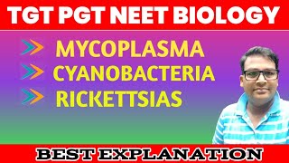 Mycoplasma  Cyanobacteria  Rickettsia  Lower botany one shot [upl. by Baras]