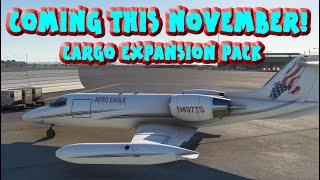 Flysimwares Learjet 35A Cargo Expansion Pack [upl. by Greeson]