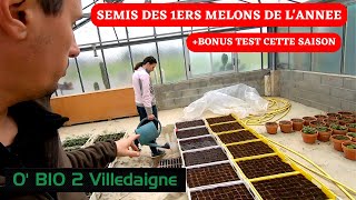 Semis de la premiere série de melons et on fait le point sur un essai important chez nous [upl. by Dottie]