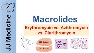 Macrolides Azithromycin Erythromycin  Bacterial Targets Mechanism of Action Adverse Effects [upl. by Trovillion]