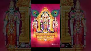 murugan murugansongs murugantemple muruganthunai muruganwhatsappstatustamil muruganvibes [upl. by Landahl]