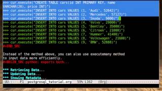 Python Tutorial  PostgreSQL Database Part 2 [upl. by Eidde430]