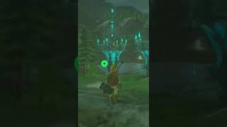 zelda botw gaming playthrough autistic mario nintendogame [upl. by Able]