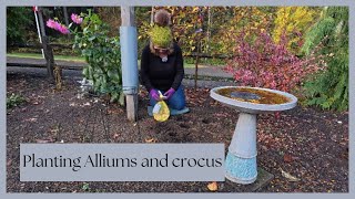 “Planting Alliums amp Crocus for a Beautiful Spring Bloom [upl. by Krakow532]